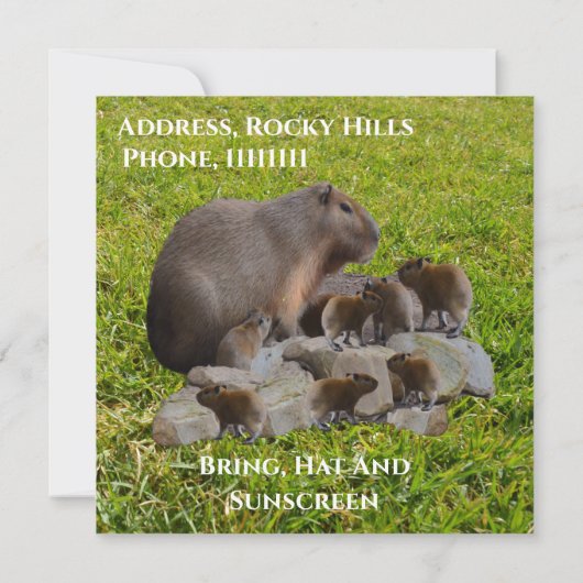 Capybaras De Mère Et De Bébé, Invitation D'Anniver (Dos)