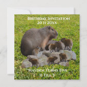 Capybaras De Mère Et De Bébé, Invitation D'Anniver (Devant)