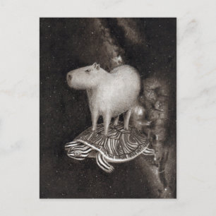 Capybara's en Terrapin die door de ruimtevaart vli Briefkaart