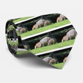 Capybaras grazing stropdas (Opgerold)