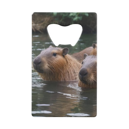 Capybaras' Swimming In The River, (Devant)