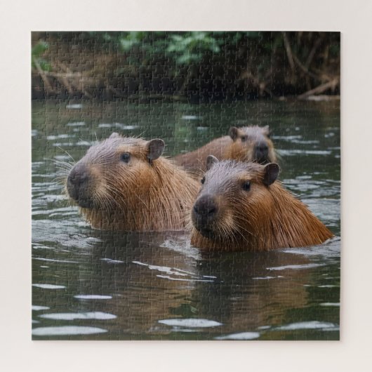 Capybaras' zwemmen in de rivier, legpuzzel (Verticaal)