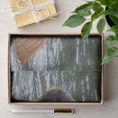 Capybaras' zwemmen in de rivier, tissuepapier (Geschenk)