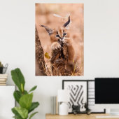 Caracal Kitten Poster (Thuiskantoor)