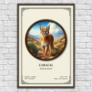 Caracal Zoologie Serie Poster