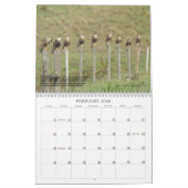 Caracaras van Florida Kalender (Feb 2026)