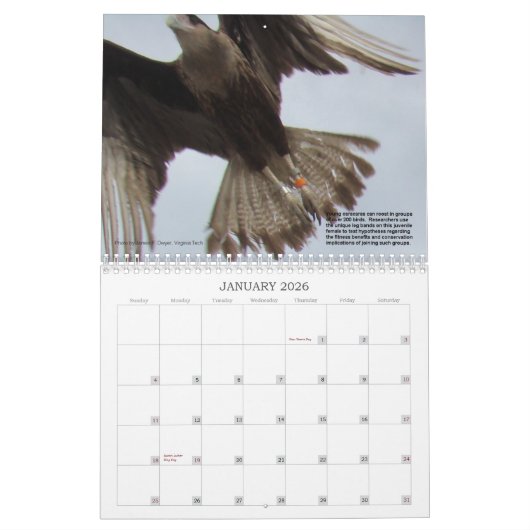 Caracaras van Florida Kalender (Jan 2026)