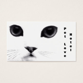 Caractéristiques classiques des chats