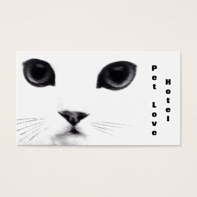 Caractéristiques classiques des chats (Devant)