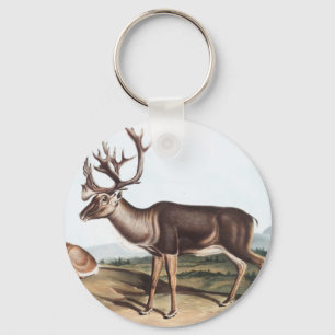 Caraïben, Amerikaanse Rein Deer (Tarandus furcifer Sleutelhanger