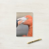 Caraïben Flamingo Post-it® Notes (Op bureau)
