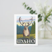 Caraïben in de Wilde - Idaho Briefkaart (Staand voorkant)