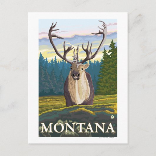Caraïben in de Wilde - Montana Briefkaart (Voorkant)
