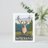 Caraïben in de Wilde - Montana Briefkaart (Staand voorkant)