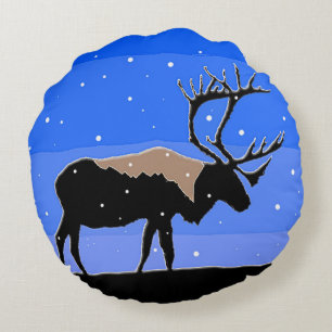 Caraïben in de winter - Oorspronkelijke natuurkuns Rond Kussen