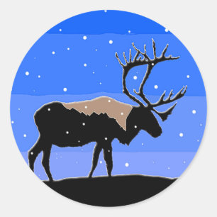 Caraïben in de winter - Oorspronkelijke natuurkuns Ronde Sticker
