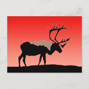 Caraïben op zonsondergang - Oorspronkelijke natuur Briefkaart