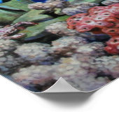 Caraïben reef print (Hoek)