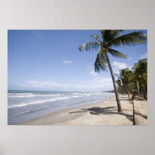 Caraïben - strand van Trinidad - Manzanilla op 2 Poster