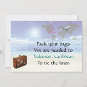 Caraïbes Destination Wedding Enregistrer la carte  (Dos)