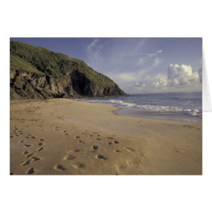 Caraïbes, St. Kitts. Empreintes sur l'Atlantique
