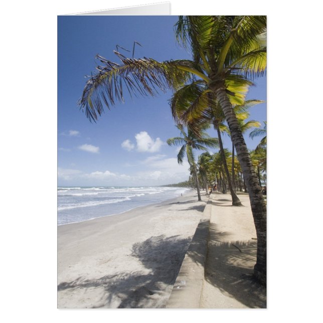 Caraïbes - Trinité - Plage de Manzanilla sur (Devant)