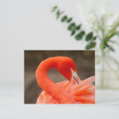 Caraïbisch flamingo briefkaart (Staand voorkant)