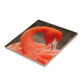 Caraïbisch flamingo tegeltje (Zijkant)