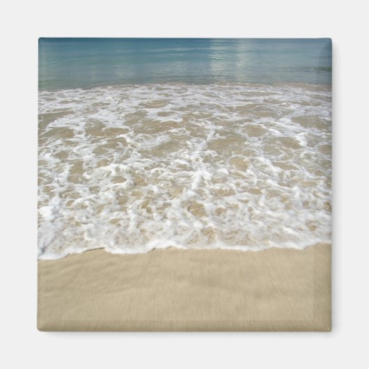 Caraïbisch gebied, Amerikaanse Maagdeneilanden, St Magneet (Voorkant)