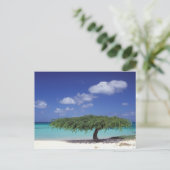 Caraïbisch gebied, Aruba. Eagle Beach Briefkaart (Staand voorkant)