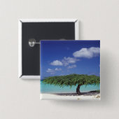 Caraïbisch gebied, Aruba. Eagle Beach Vierkante Button 5,1 Cm (Voorkant /achterkant)