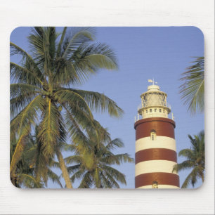Caraïbisch gebied, Bahama's, Abaco, Elbow Cay. Ho Muismat
