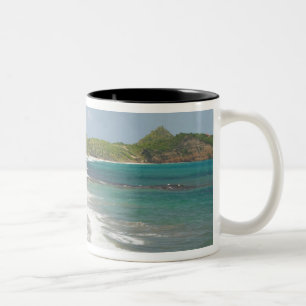 Caraïbisch gebied, GRENADA, Oostkust, Grenada Bay Tweekleurige Koffiemok