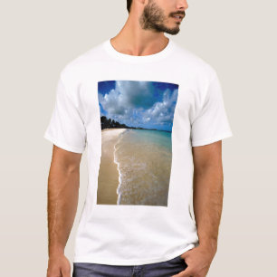 Caraïbisch gebied, Leeuwse eilanden, Antigua, Dick T-shirt