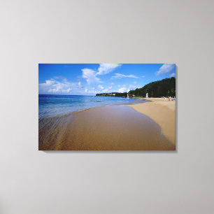 Caraïbisch gebied, minder Antillen, West Indies,  Canvas Afdruk