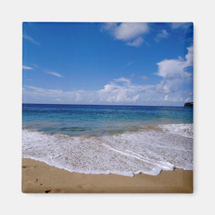 Caraïbisch gebied, minder Antillen, West Indies,  Magneet