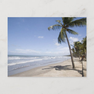 Caraïbisch gebied - Trinidad - Manzanilla Beach op Briefkaart
