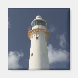 Caraïbisch gebied, TURKS & CAICOS, Grand Turk Isl Magneet