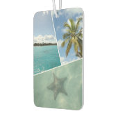 Caraïbisch kraakbeen luchtverfrisser (Links)