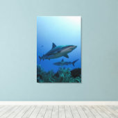 Caraïbisch rif Shark Jardines de la Reina Canvas Afdruk (Insitu (Houten vloer))