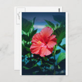 Caraïbische bloem briefkaart (Voorkant / Achterkant)