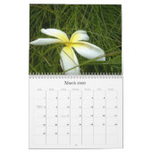 Caraïbische kleur...The Flowers Calender 2009 Kalender (Mar 2026)