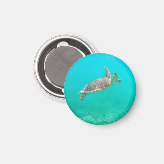 caraïbische schildpad magneet (Voorkant / Achterkant)