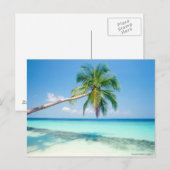 caraïbische strandkaart briefkaart (Voorkant / Achterkant)