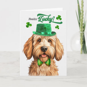 Caramel Labradoodle Voelt Zich Gelukkig St Patrick Feestdagen Kaart