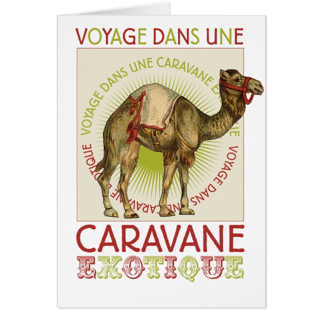 Caravan Camel (Devant)