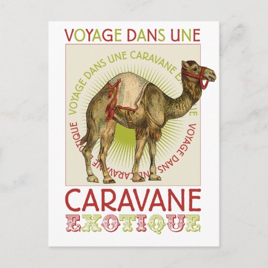 Caravan Camel Briefkaart (Voorkant)