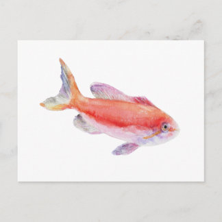 Carberryi Anthias Vis Watercolor Illustratie Briefkaart