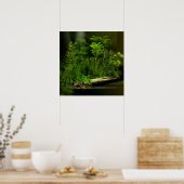 carbo deep forest 2 poster (Keuken)