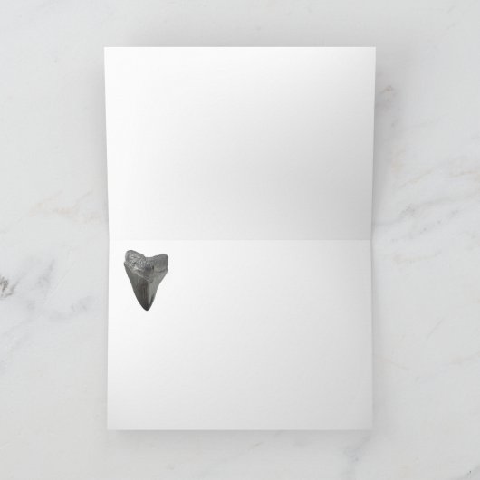 Carcharocles megalodon kaart (Binnen)